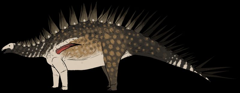 Jiangjunosaurus — Autres ornithischiens