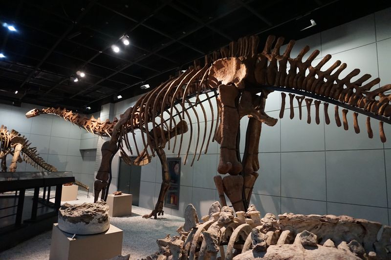 Jiangshanosaurus — Autres saurischiens
