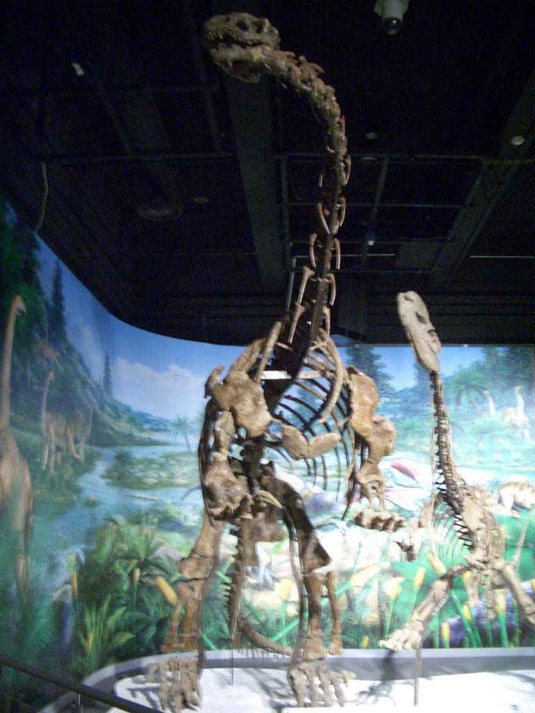 Jingshanosaurus — Autres saurischiens
