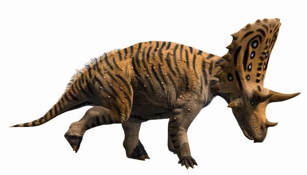 Judiceratops — Autres ornithischiens