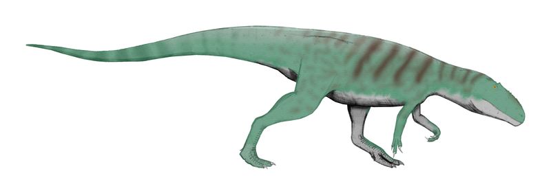 Kaijiangosaurus — Théropodes