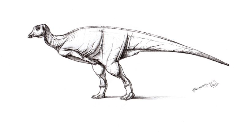 Kazaklambia — Autres ornithischiens