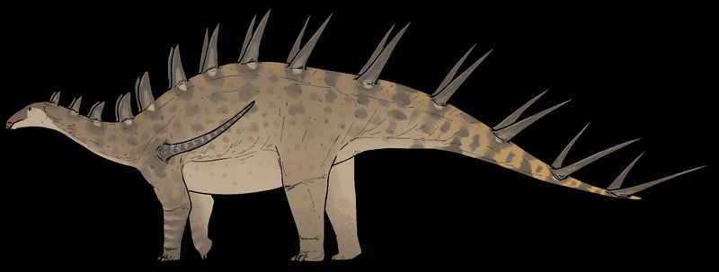 Kentrosaurus — Autres ornithischiens