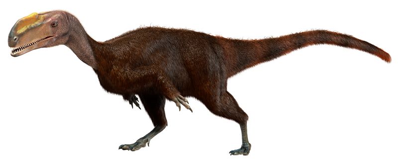 Kileskus — Théropodes
