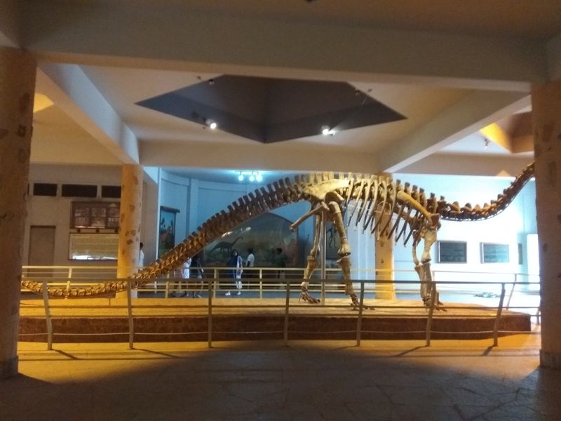 Kotasaurus — Autres saurischiens