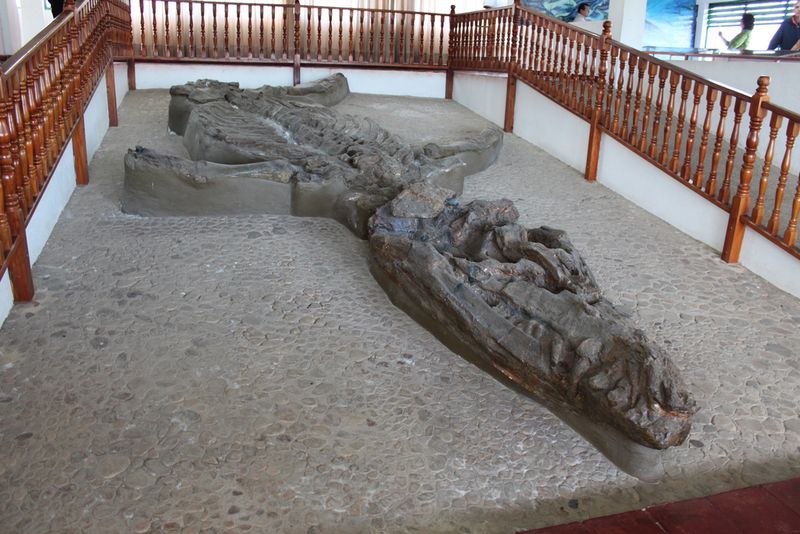 Kronosaurus — Reptiles marins