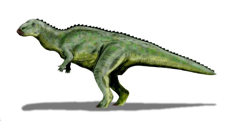 Lanzhousaurus — Autres ornithischiens