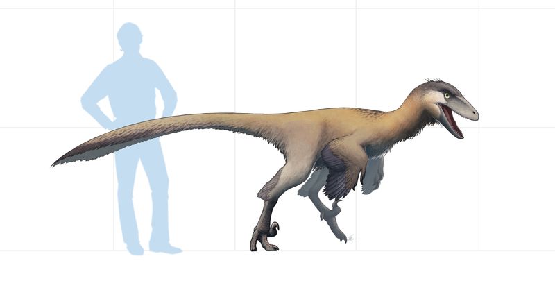 Latenivenatrix — Théropodes