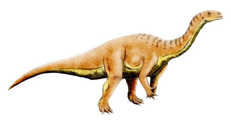 Leonerasaurus — Autres saurischiens