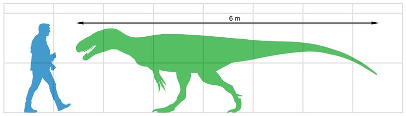 Leshansaurus — Théropodes