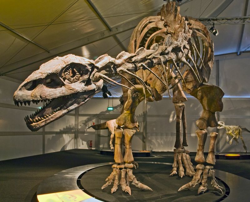 Lessemsaurus — Autres saurischiens