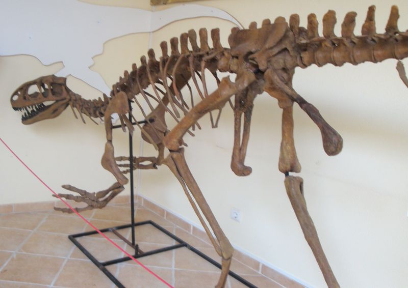 Lourinhanosaurus — Théropodes