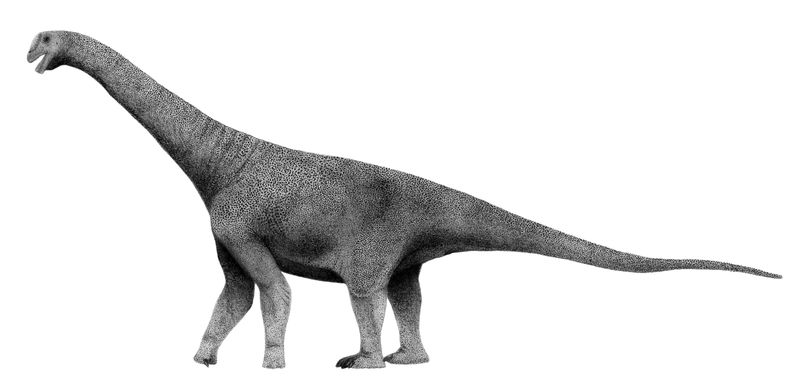 Lourinhasaurus — Autres saurischiens