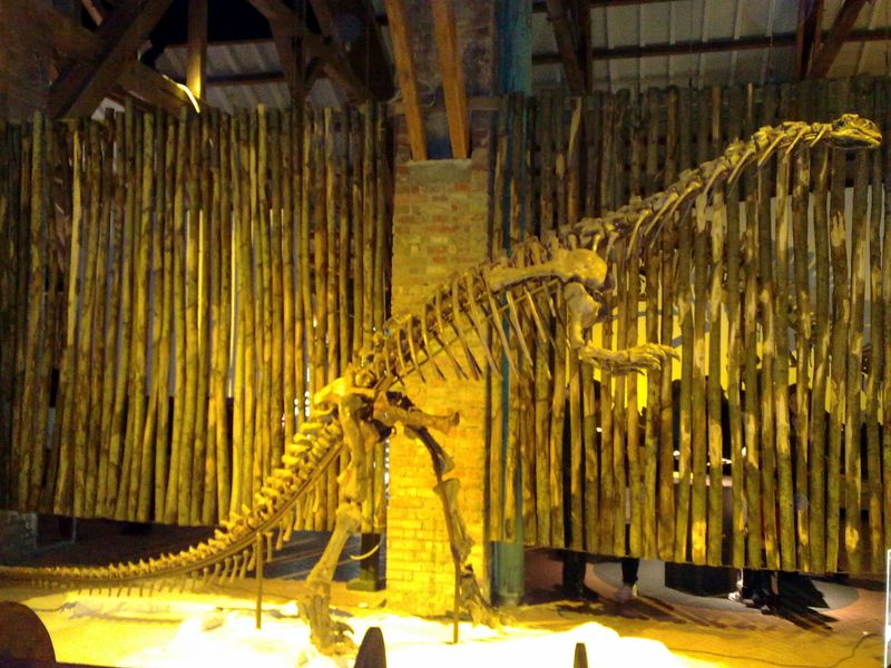 Lufengosaurus — Autres saurischiens