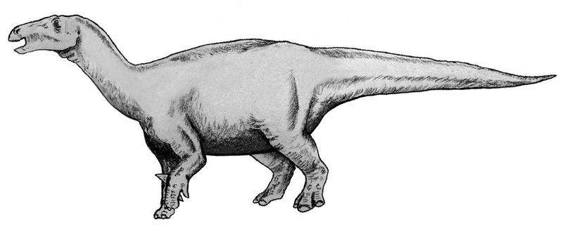 Lurdusaurus — Autres ornithischiens