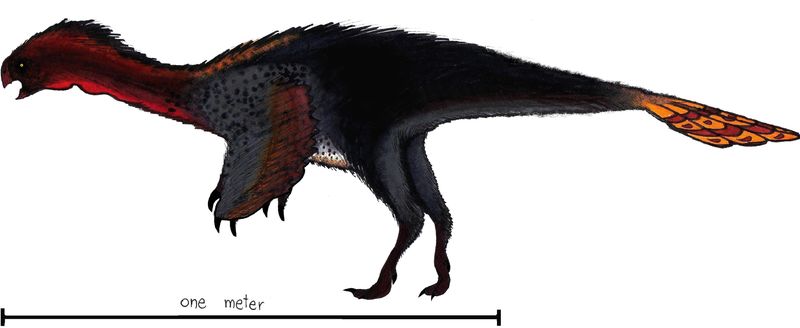 Machairasaurus — Théropodes