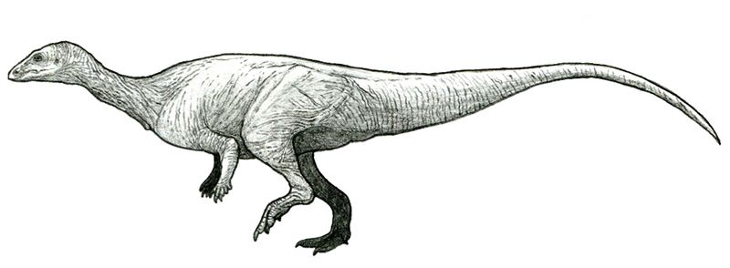 Macrogryphosaurus — Autres ornithischiens