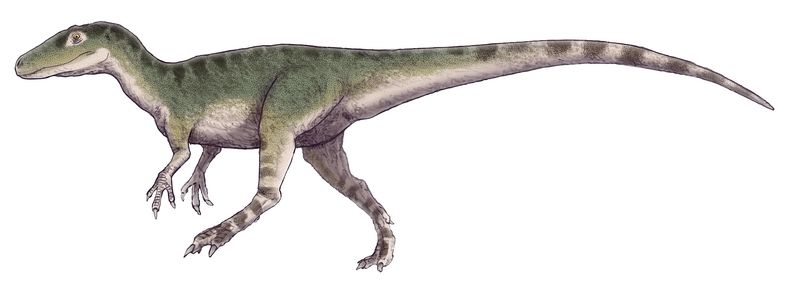 Magnosaurus — Autres saurischiens