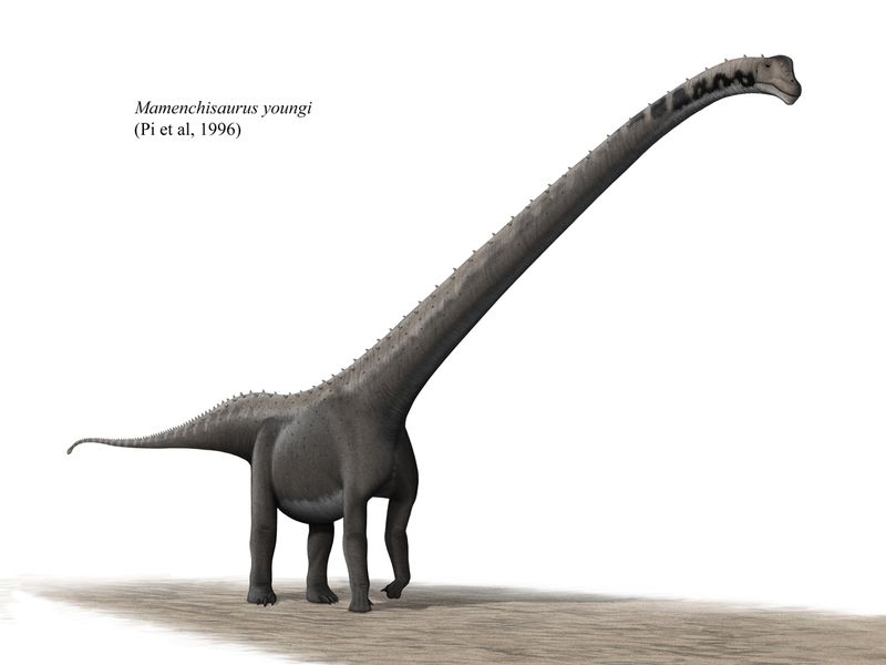 Mamenchisaurus — Autres saurischiens