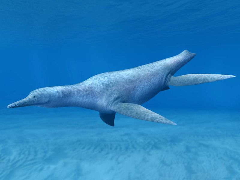 Mauriciosaurus — Reptiles marins