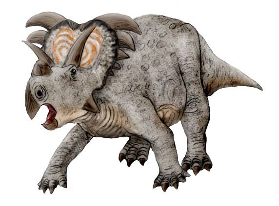Medusaceratops — Autres ornithischiens