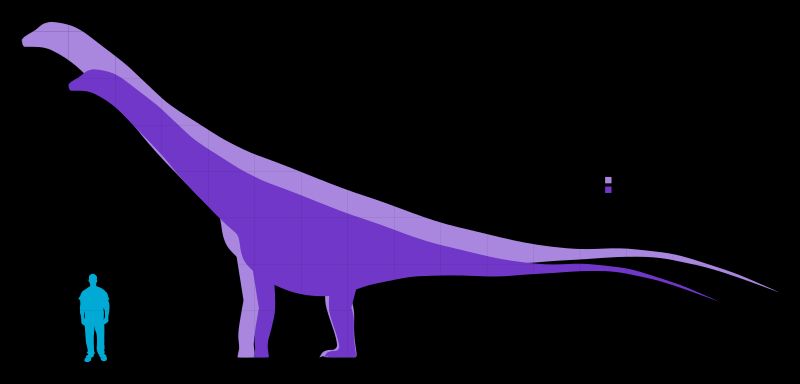 Mendozasaurus — Autres saurischiens