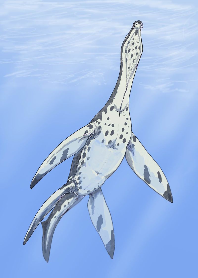 Meyerasaurus — Reptiles marins