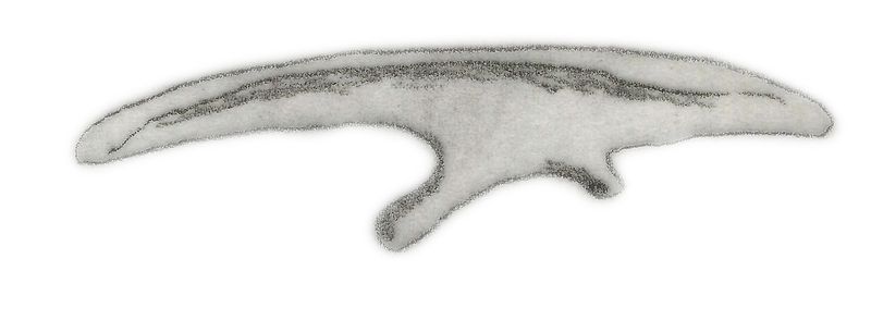 Micropachycephalosaurus — Autres ornithischiens