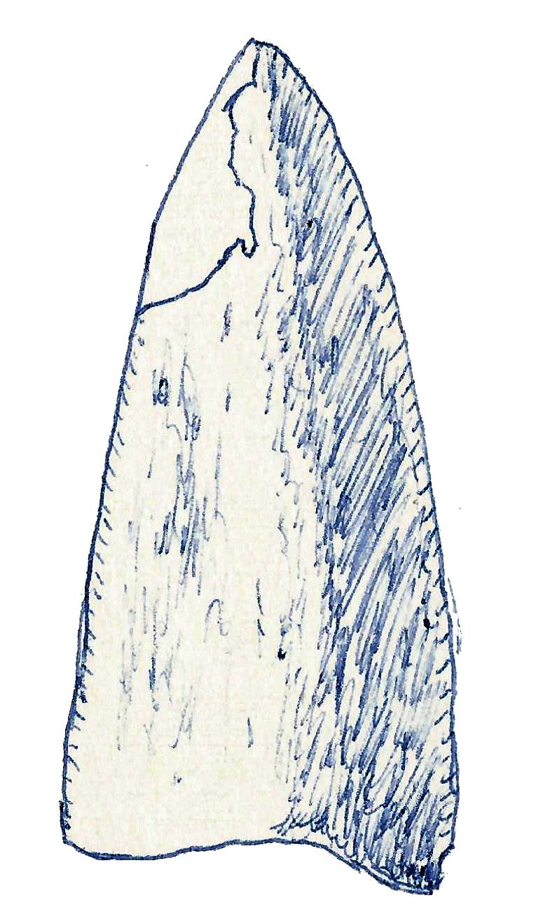 Mongolosaurus — Autres saurischiens