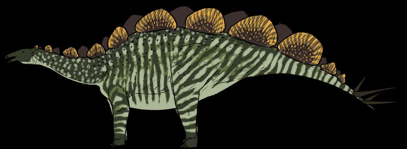 Mongolostegus — Autres ornithischiens