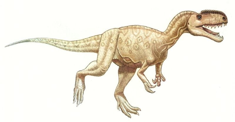 Monolophosaurus — Théropodes