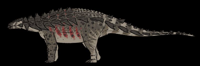 Mymoorapelta — Autres ornithischiens