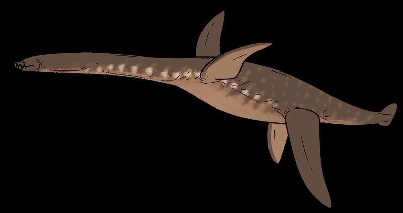 Nakonanectes — Reptiles marins