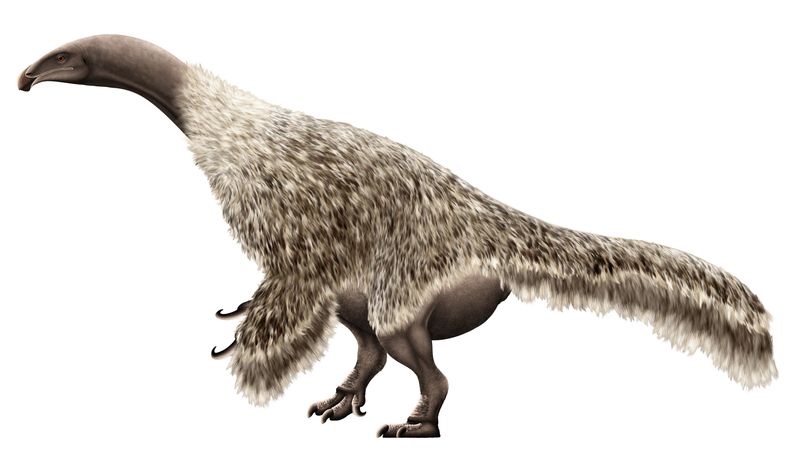 Nanshiungosaurus — Théropodes