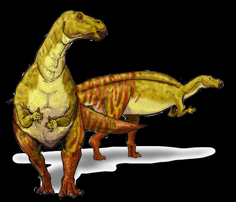 Nanyangosaurus — Autres ornithischiens