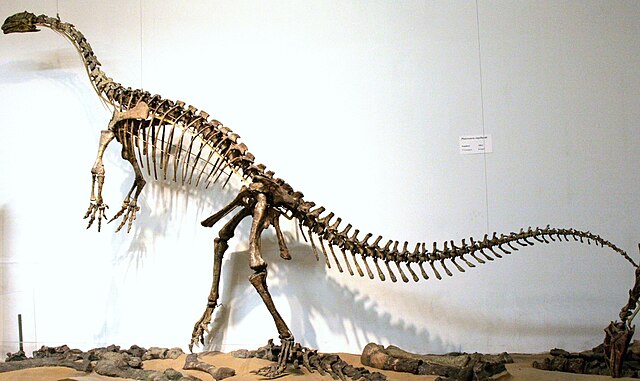 Plateosaure
